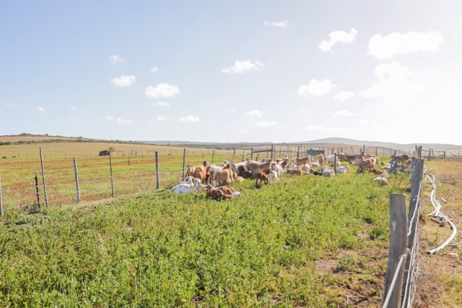 Commercial Property for Sale in Hartenbos Rural Western Cape